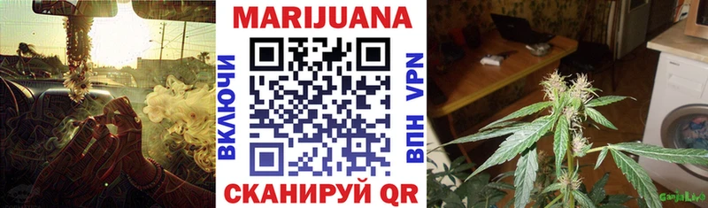 Галлюциногенные грибы Чебоксары