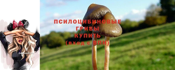 Альфа ПВП Нягань
