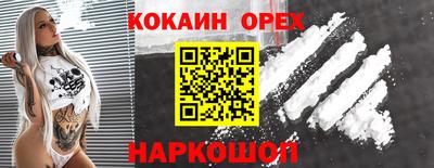 Альфа ПВП Кандалакша