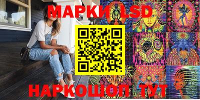 мдпв Камышлов