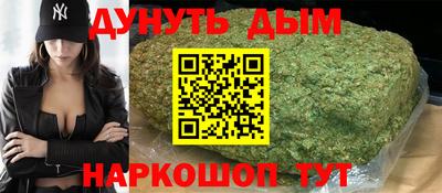 мдпв Камышлов