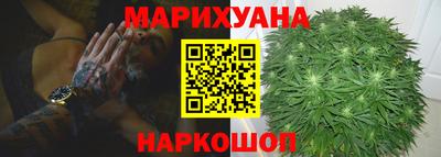 Альфа ПВП Кандалакша