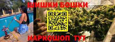 Альфа ПВП Кандалакша