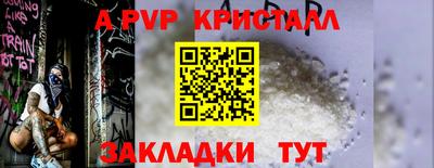 мдпв Камышлов