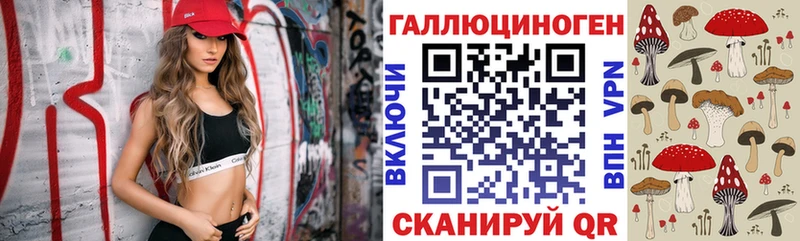 Галлюциногенные грибы мицелий  Чебоксары 