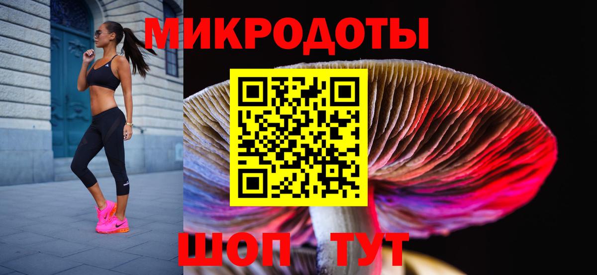 Галлюциногенные грибы MAGIC MUSHROOMS  где купить наркоту  Псилоцибиновые грибы Psilocybine cubensis  Чебоксары 