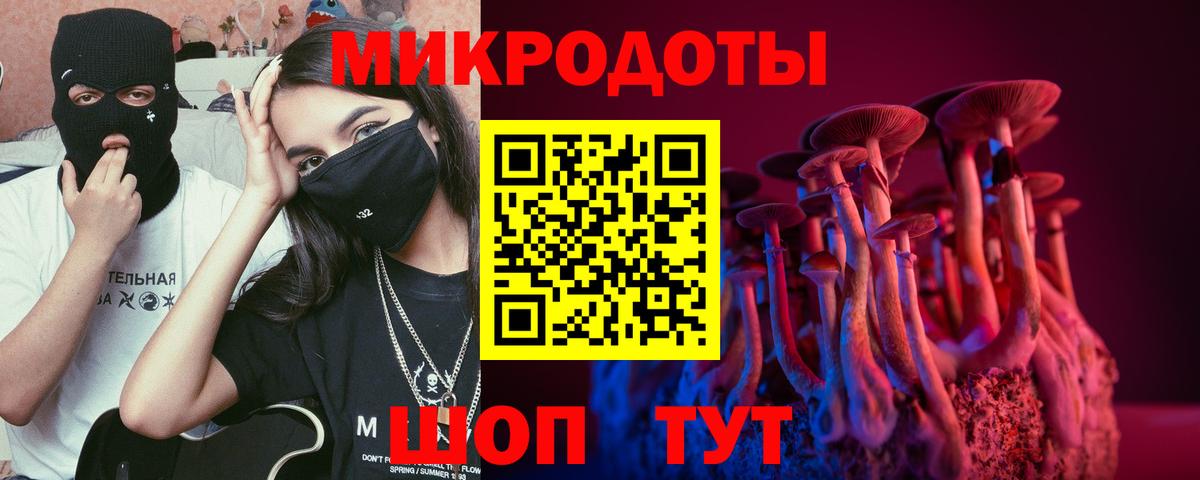 МЕФ Чебоксары