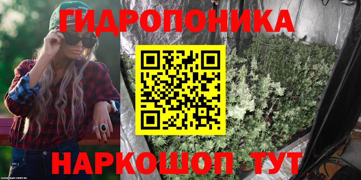 Канабис Amnesia  Канабис сатива  Вход с VPN  Чебоксары  Конопля планчик 